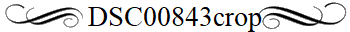 DSC00843crop